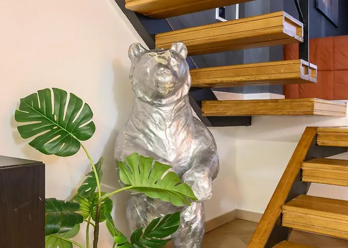 Orso Rome